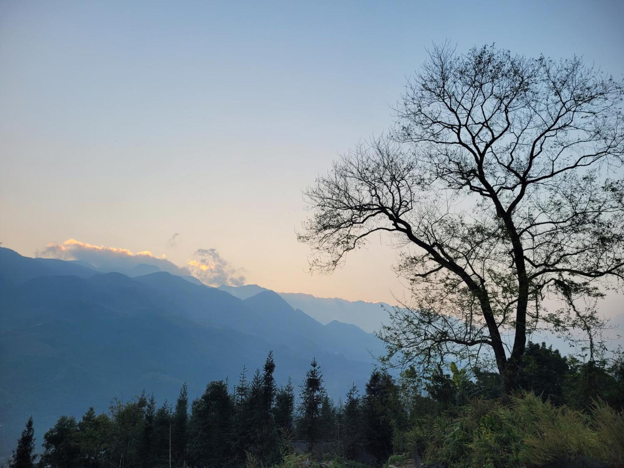 Sapa's Soul Hillside Homestay *